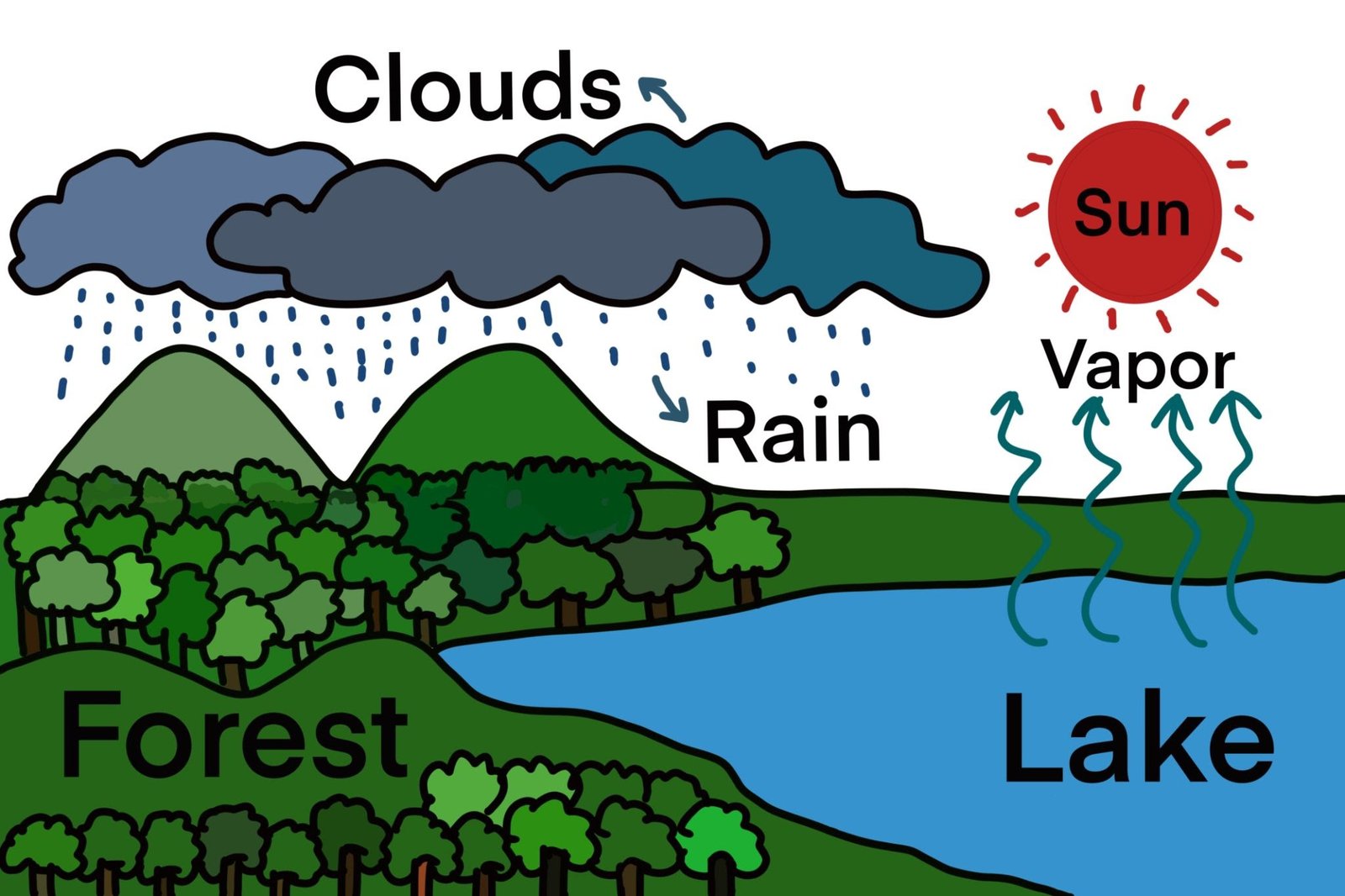 Natural Process of Rain